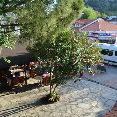 Patio 达利安